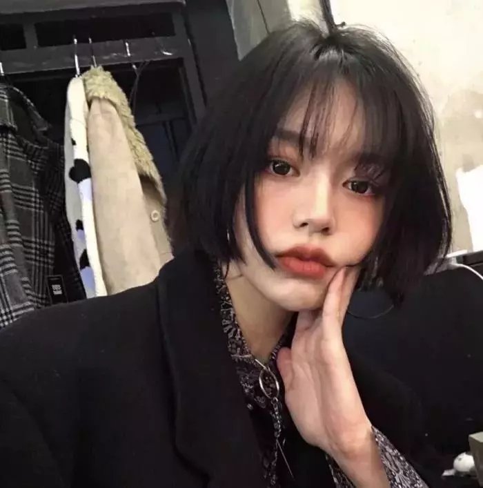 树木之城